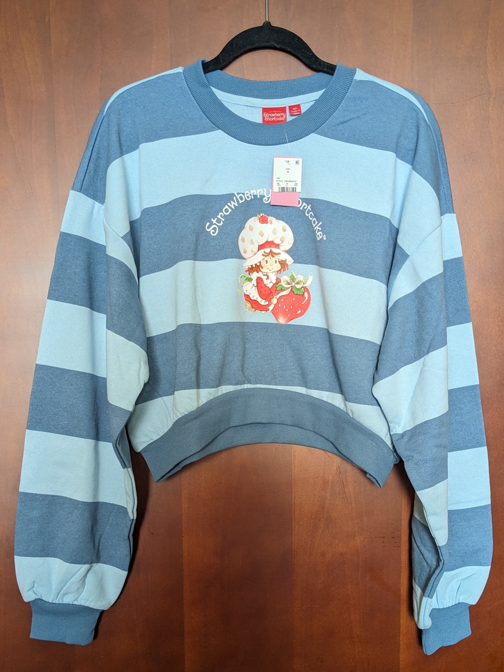 Striped Blue Cropped Sweatshirt with Strawberry Shortcake Graphic